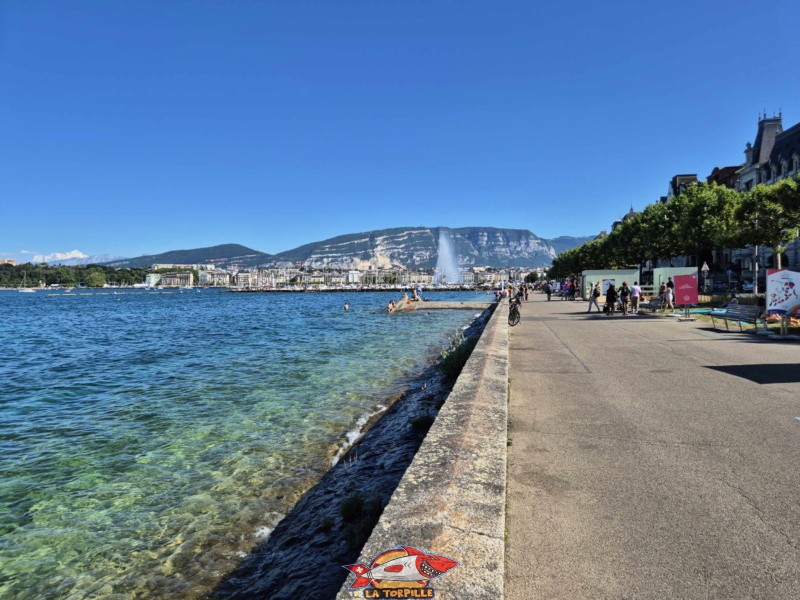 espace de baignade du quai Wilson en direction de la rade de Genève. Rive droite, rade de Genève.