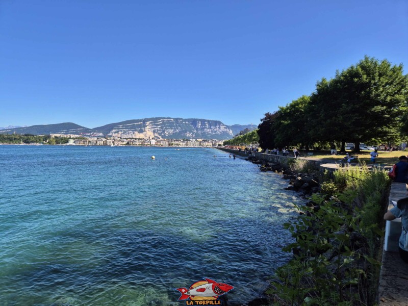 espace de baignade du quai Wilson en direction de la rade de Genève. Rive droite, rade de Genève.
