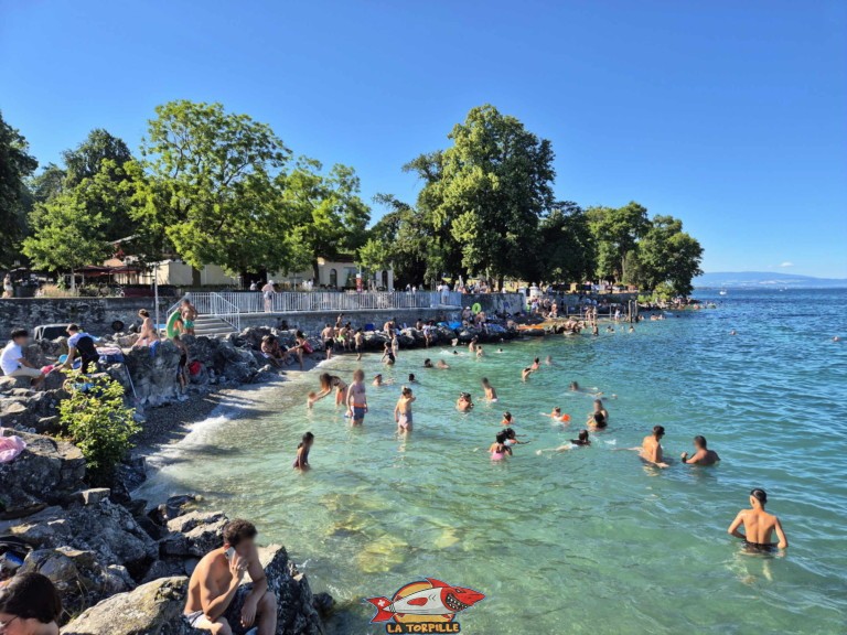 20250628 174355 plage perle du lac geneve