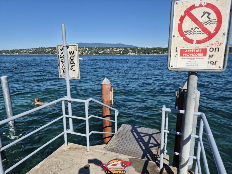 Digue. Plage de la perle du lac, Genève.