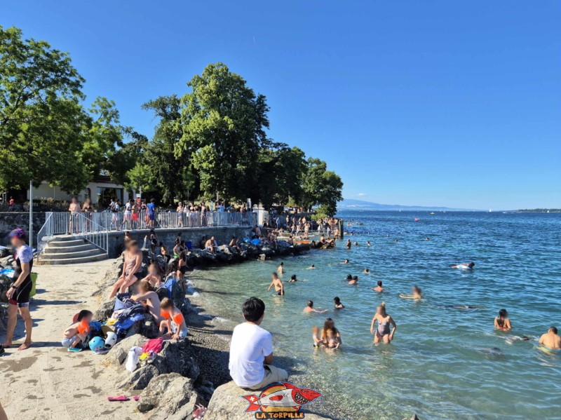 20250628 174522 plage perle du lac geneve e1752773234476