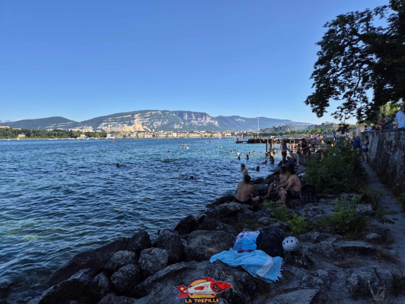 Le Jet d'Eau depuis la plage de la Perle du Lac.