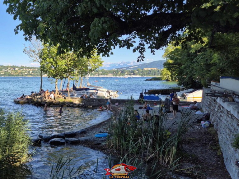 20250628 181059 plage parc william rappart geneve e1752782229163