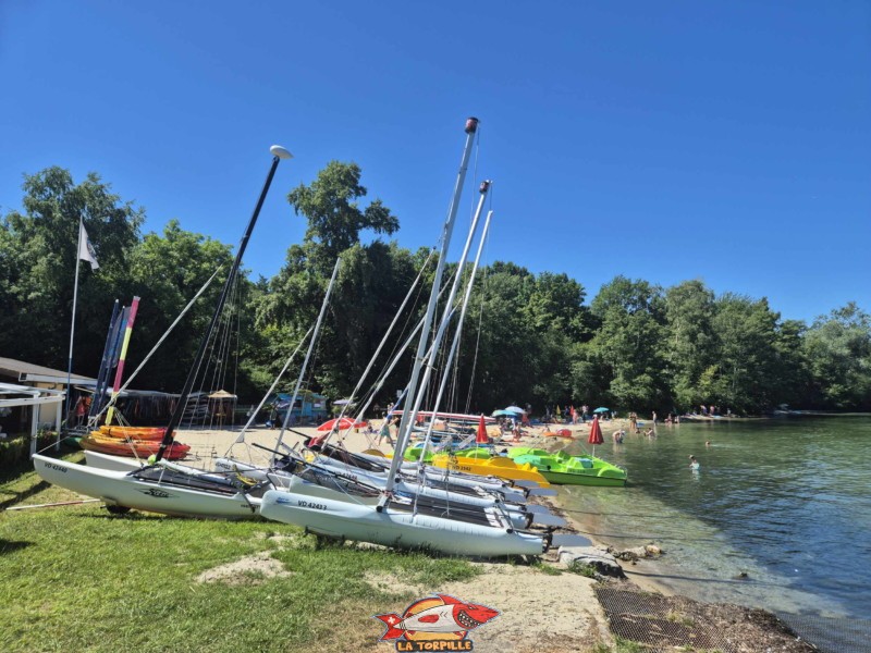 Bateau à voile. Plage et base nautique, les Vikings, Yvonand, lac de Neuchâtel.
