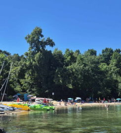 🌊🏖️ Base Nautique et Plage Les Vikings – Yvonand