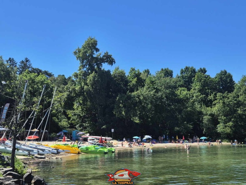 plage des Vikings depuis la jetée principale du port d'Yvonand. Plage et base nautique, les Vikings, Yvonand, lac de Neuchâtel.