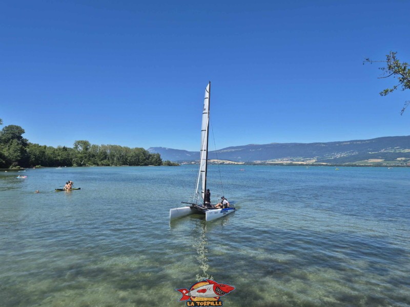 Catamaran. Plage et base nautique, les Vikings, Yvonand, lac de Neuchâtel.