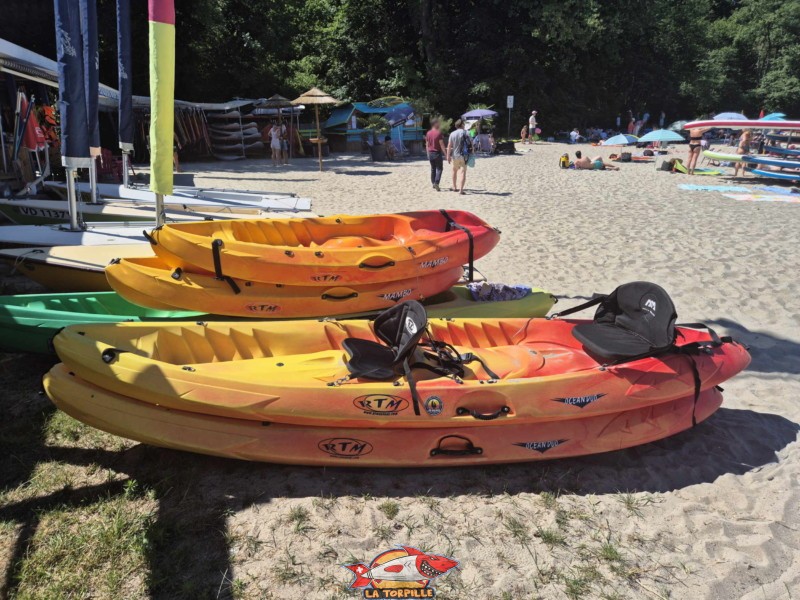 Canoë-Kayak. Plage et base nautique, les Vikings, Yvonand, lac de Neuchâtel.