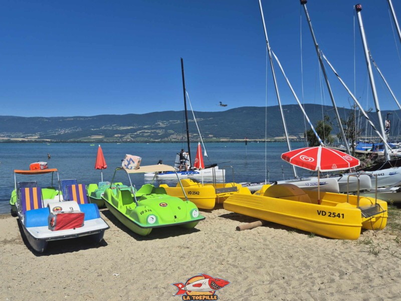 Pédalo. Plage et base nautique, les Vikings, Yvonand, lac de Neuchâtel.