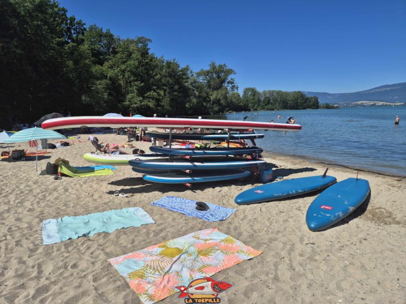 Paddle. Plage et base nautique, les Vikings, Yvonand, lac de Neuchâtel.