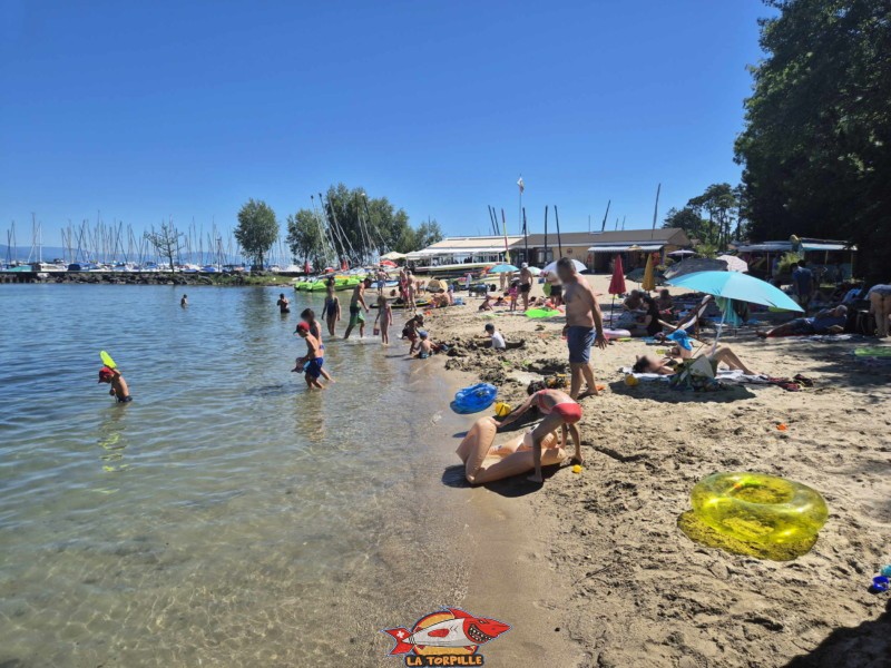 côté ouest de la plage des Vikings. Plage et base nautique, les Vikings, Yvonand, lac de Neuchâtel.