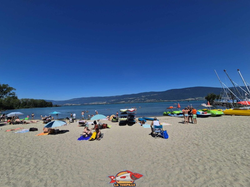 partie centrale de la plage des Vikings. Plage et base nautique, les Vikings, Yvonand, lac de Neuchâtel.