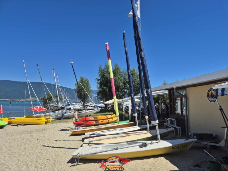 Bateau à voile. Plage et base nautique, les Vikings, Yvonand, lac de Neuchâtel.