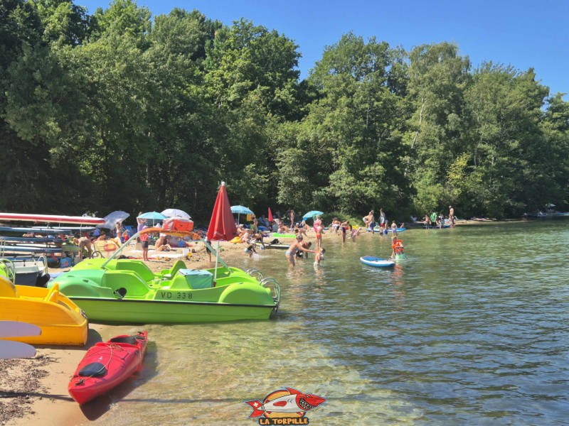 côté est de la plage des Vikings. Plage et base nautique, les Vikings, Yvonand, lac de Neuchâtel.
