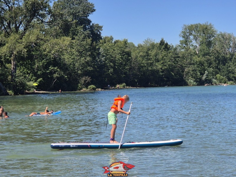 Paddle. Plage et base nautique, les Vikings, Yvonand, lac de Neuchâtel.
