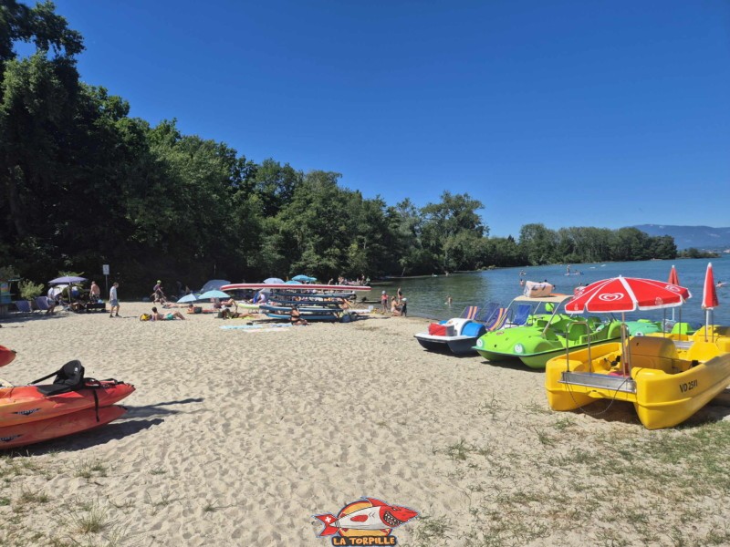 La plage avec les embarcations nautiques de la base nautique des Vikings. La plage avec les embarcations nautiques de la base nautique des Vikings.