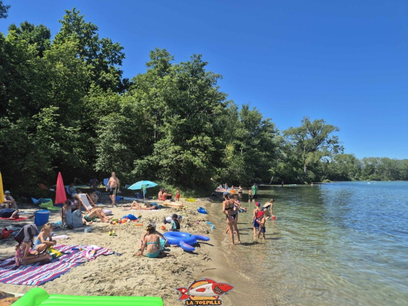 côté ouest de la plage des Vikings. Plage et base nautique, les Vikings, Yvonand, lac de Neuchâtel.