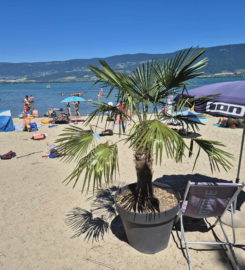 🌊🏖️ Base Nautique et Plage Les Vikings – Yvonand