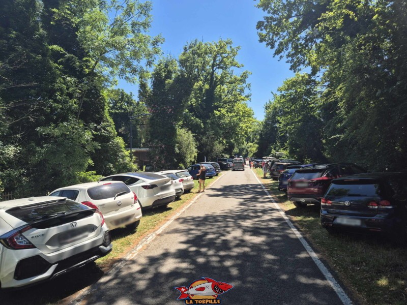 Les places de parking payantes le long de l'avenue des Pins, le long de la plage.