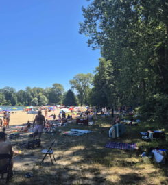 🏖️ Plage des Pins – Yvonand