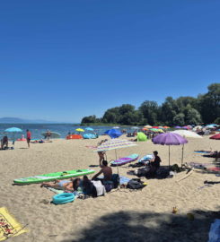 🏖️ Plage des Pins – Yvonand