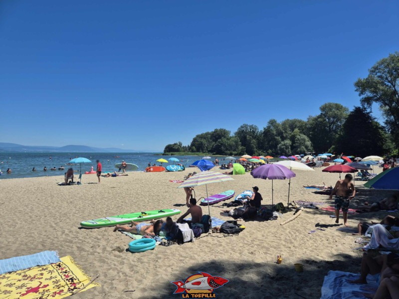 partie centrale de la plage des Pins d'Yvonand