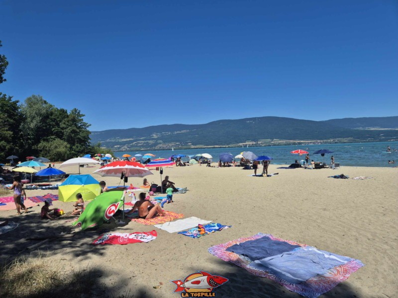 partie centrale de la plage des Pins d'Yvonand
