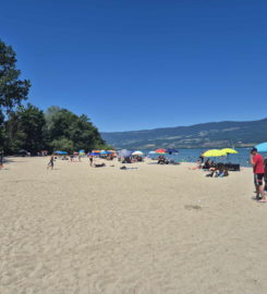 🏖️ Plage des Pins – Yvonand