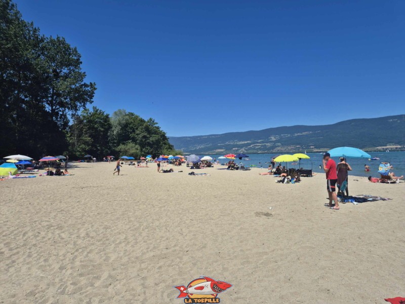 partie centrale de la plage des Pins d'Yvonand