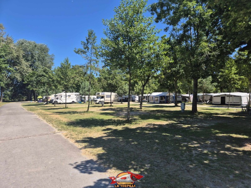 Le camping de la Menthue. plage des Pins, Yvonand.