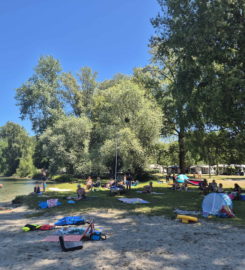 🏖️ Plage des Pins – Yvonand