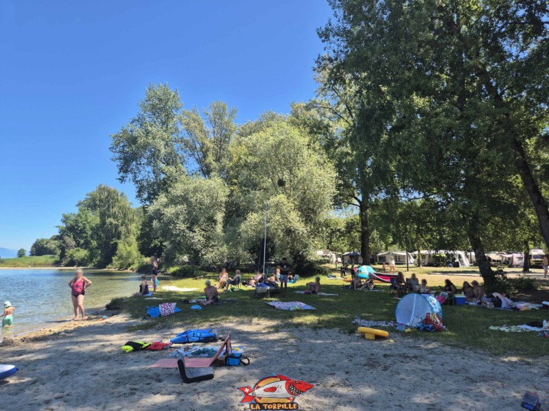 côté est de la plage des Pins d'Yvonand