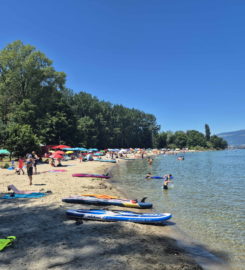 🏖️ Plage des Pins – Yvonand