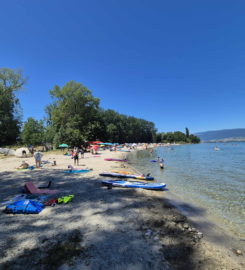 🏖️ Plage des Pins – Yvonand