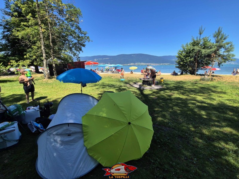 La petite zone herbeuse à l'est de la plage des pins, yvonand.