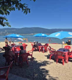 🏖️ Plage des Pins – Yvonand