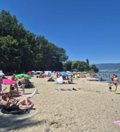 🏖️ Plage des Pins – Yvonand