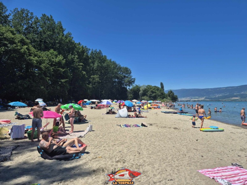 partie centrale de la plage des Pins d'Yvonand