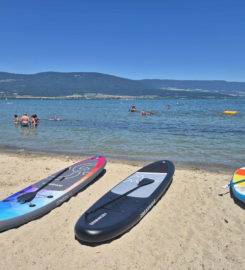 🏖️ Plage des Pins – Yvonand