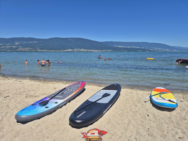 Bord de l'eau, plage des Pins, Yvonand.