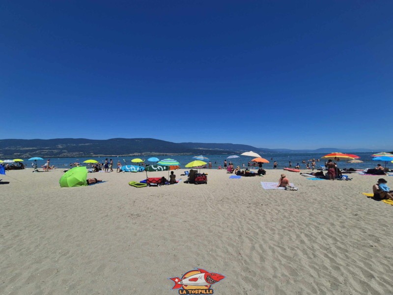 partie centrale de la plage des Pins d'Yvonand