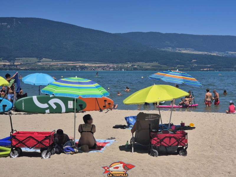 Bord de l'eau, plage des Pins, Yvonand.