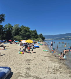 🏖️ Plage des Pins – Yvonand