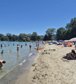 🏖️ Plage des Pins – Yvonand