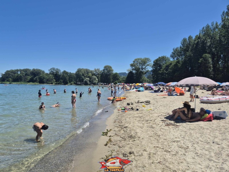 Bord de l'eau, plage des Pins, Yvonand.