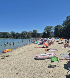 🏖️ Plage des Pins – Yvonand