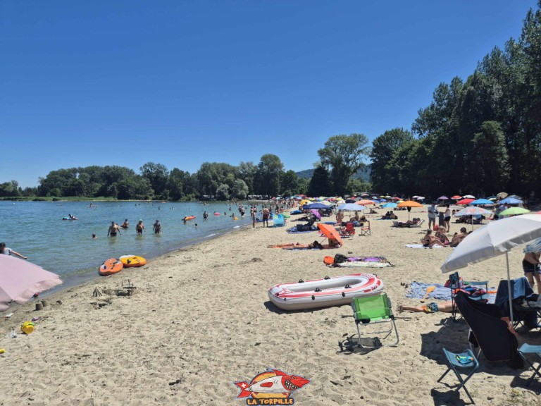 20250629 130230 plage des pins yvonand