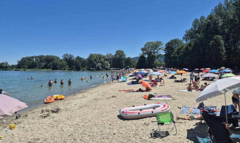 🏖️ Plage des Pins – Yvonand