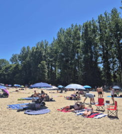 🏖️ Plage des Pins – Yvonand