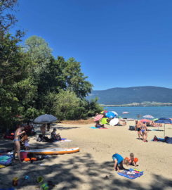 🏖️ Plage des Pins – Yvonand